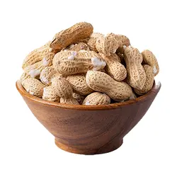 بادام زمینی با پوست شور فله مقدار یک کیلوگرم (1 کیلویی)
