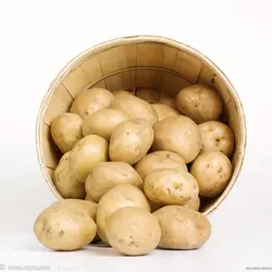 سیب زمینی فله ای (1 کیلوگرم)