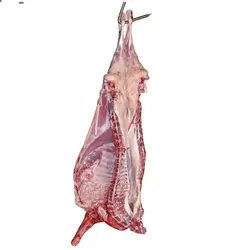 گوشت بره مخلوط (یک کیلویی)