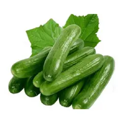 خیار درختی درجه یک فله (1 کیلوگرم)