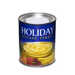 پودر دسر کاسترد هالیدی شاهسوند (300 گرم)