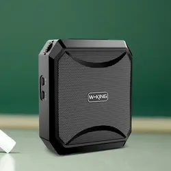 اسپیکر دبلیو کینگ W-KING KS01 High Fidelity Voice Amplifier با میکروفون