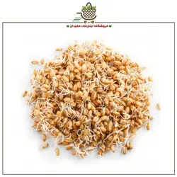 پودر جوانه گندم