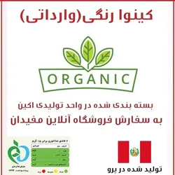 کینوا خارجی سه رنگ