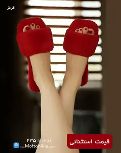 دمپایی روفرشی حوله ای کد 435