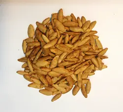 تخمه کدو مشهدی ۲۰۰ گرمی