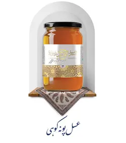 عسل پونه کوهی