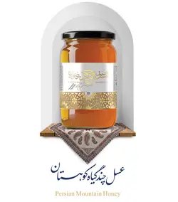 عسل چندگیاه کوهستان