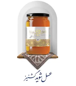 عسل شوید،گشنیز