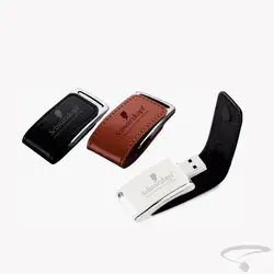 فلش تبلیغاتی Z254