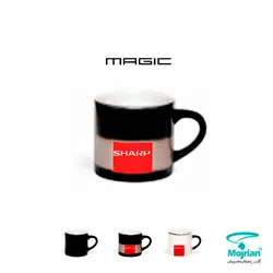 فنجان سرامیک حرارتی B250