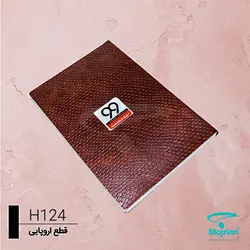 سالنامه اروپایی H124