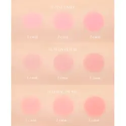 رژگونه کپسولی لیزدا