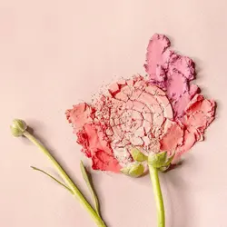 رژگونه TO COOL FOR SCHOOL