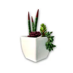 کاکتوس مصنوعی Br2 - فروشگاه آقای چمن