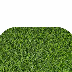 چمن مصنوعی تزئینی مدل Br 1231-1 20mm - فروشگاه آقای چمن