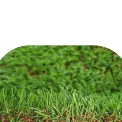 چمن مصنوعی تزئینی Br 7000-13 35mm - فروشگاه آقای چمن