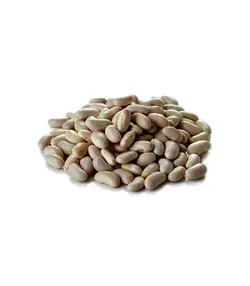 لوبيا کشاورزي فله