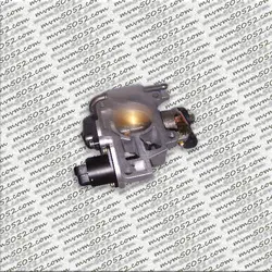 دریچه گاز  ۱۱۰