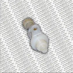 دنده کیلومترشمار ۱۱۰