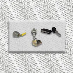 ست کامل قفل(درب ها، مغزی سوئیچ وکلیدهای خام و قاب ریموت)  ۳۱۵