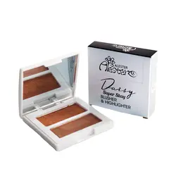 رژگونه هایلایتر آلستر Alesterشماره05
