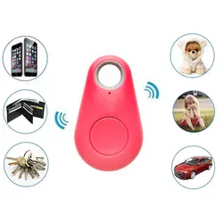 مسیریاب حیوانات مدل Itag