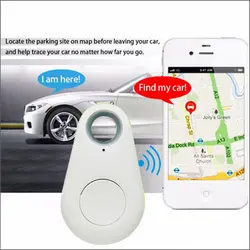 مسیریاب حیوانات مدل Itag