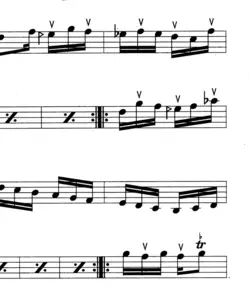 نت چهارمضراب بیات راجه همایون پرویز مشکاتیان مایه لاکرن⁩