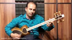 زیرکش سلمک شور گزیده ردیف موسیقی ملی ایران کیوان ساکت تار نیما فریدونی