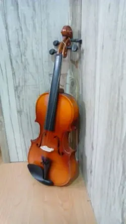 ساز ویولن LOCTO S 4/4 لکتو