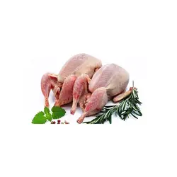 بلدرچین کیلویی