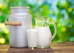 شیر گاو 1 کیلوگرم