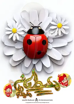 تی شرت کفشدوزک (TS_TRR_LADYBUG)