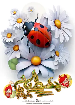 تی شرت کفشدوزک (TS_TRR_LADYBUG)