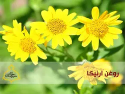روغن آرنیکا