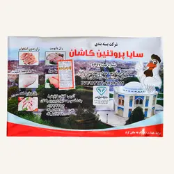فیله مرغ منجمد سایا پروتئین کاشان - عمده فروشی نت میت