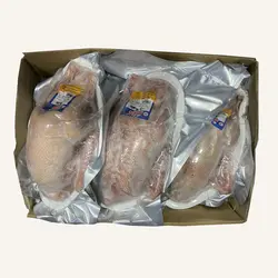 غاز منجمد کالی - عمده فروشی نت میت