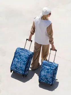 ست چمدان رزمری مدل Rose Merry RL-457-3B