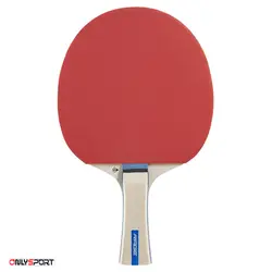 راکت پینگ پنگ دانلوپ Dunlop Rage