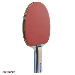 راکت پینگ پنگ دانلوپ Dunlop Rage
