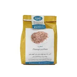 اسفرزه باغ فیروزه