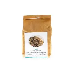 زنیان باغ فیروزه