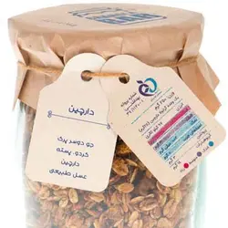 گرانولا دارچین گرانولابار