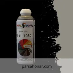 اسپری رال 7030 دوپلی کالر - فروشگاه آنلاین رنگ پارسا هنر