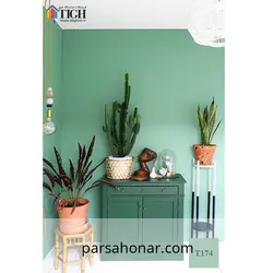 رنگ کامپیوتری کد T 174 - فروشگاه آنلاین رنگ پارسا هنر