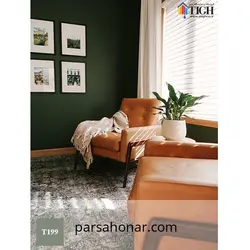 رنگ کامپیوتری کد T 199 - فروشگاه آنلاین رنگ پارسا هنر