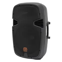 اسپیکر باند پسیو 15 اینچ تندر الکترونیک پی اس پرو PS-15 PRO