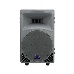 باند پسیو اکو چنگ مدل P450 XP - پارسیان صوت