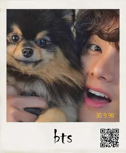 پولاروید بی تی اس کد 80 - گالری پچ بازی